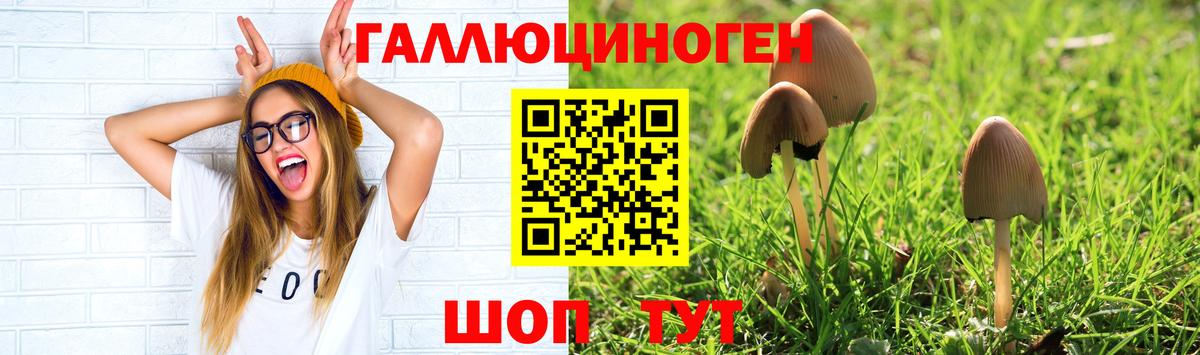 Псилоцибиновые грибы мухоморы Камышин