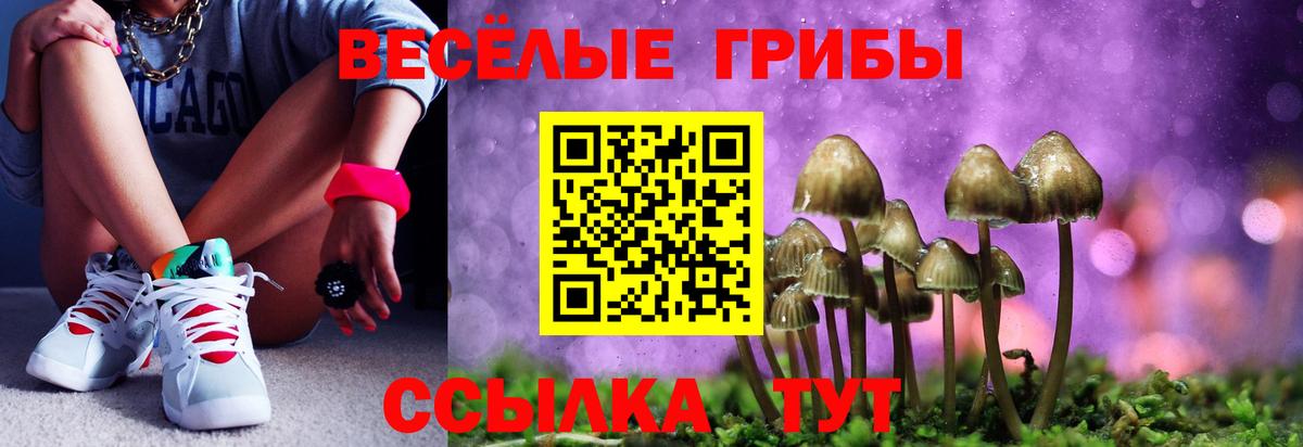 Галлюциногенные грибы Cubensis  Псилоцибиновые грибы прущие грибы  Вход с VPN  где продают наркотики  Камышин 